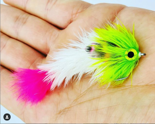 va_muddler
3” FGC In Electric Chicken
.
.
.
#flytyingjunkie
#flyfishingjunkie
#flyfishingaddict
#flytyingaddict
#flyfishingnation
#flyfishing
#flytyingnation
#flytying
#streamerjunkie
#streameraddict
#articulationnation
#gamechangerfly
#changeyourgame
#fishing
#onthefly