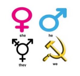 trans_shitpost's tweet photo. https://t.co/1COfBS42wS