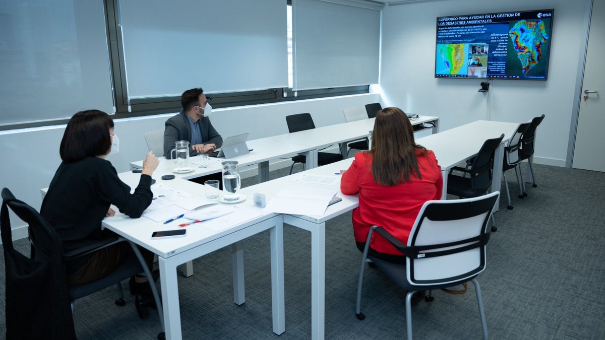 Diana Morant tweet media