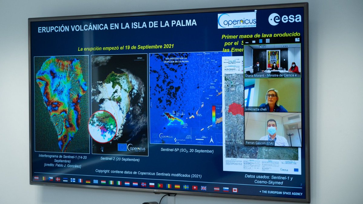 Diana Morant tweet media