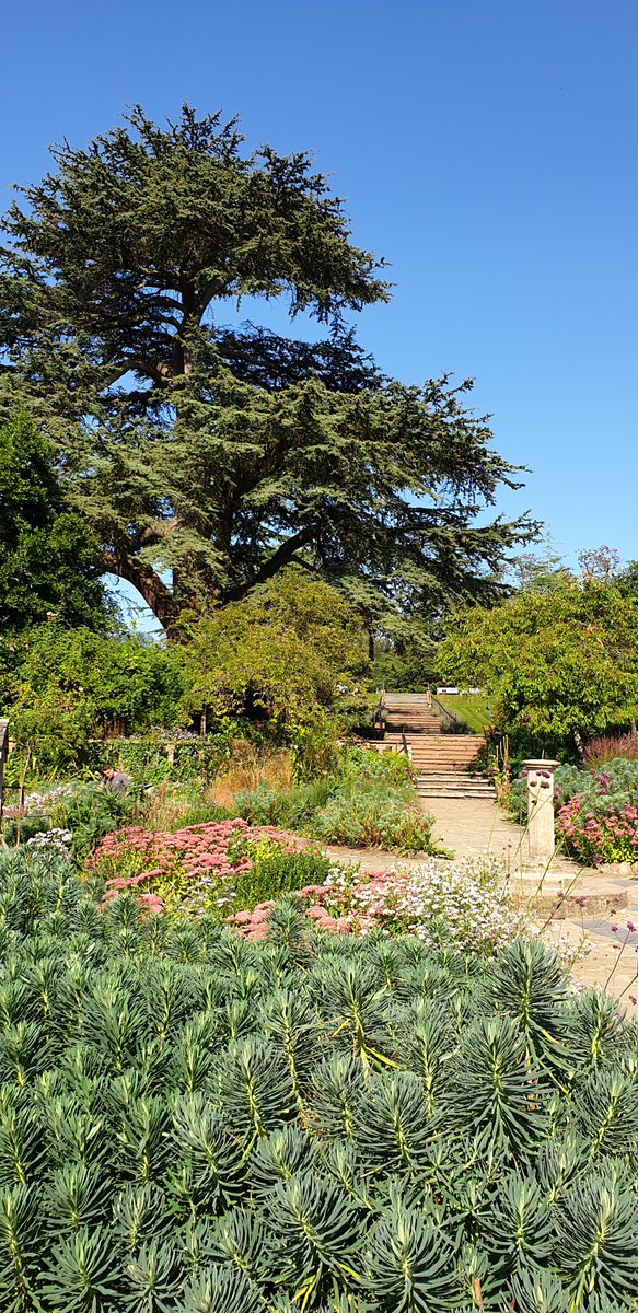 Good afternoon from the beautifully sunny #RookeryGardens. A big thank you for all the donations to help run this local gem and enjoy the weather! #Streatham #StreathamCommon #Lambeth #LoveLambeth #gardens #parks <a href="/HeritageFundL_S/">The National Lottery Heritage Fund London & South</a> <a href="/Brockwell_Hall/">Lambeth Parks & Leisure</a> <a href="/Rookery100/">Streatham Common</a>