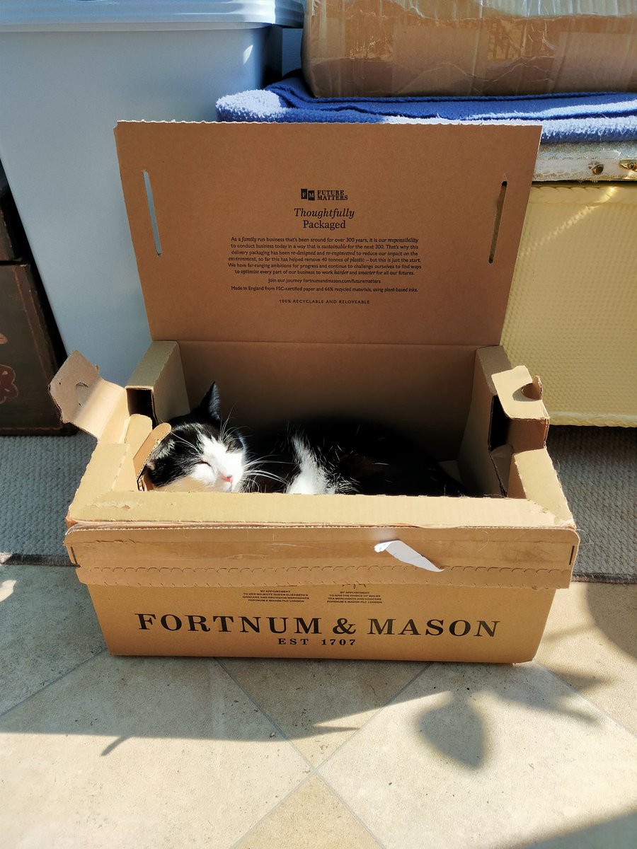 The purrfect box for the more discerning cat.... <a href="/Fortnums/">Fortnum & Mason</a> <a href="/CatsProtection/">Cats Protection</a> #catsloveboxes #CatsOfTwitter #mycatsimon