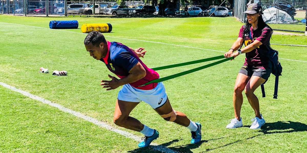 Springboks tweet picture