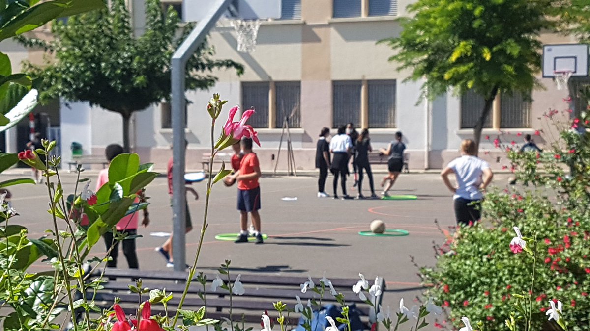ColJjaures82's tweet photo. Après midi du sport scolaire encadré par l'équipe d'EPS du @ColJjaures82 lancement de l'année UNSS, 50 élèves participent à cet après midi multi sports! Avec le soleil en prime !🏀⚽️🏐🌞
@UNSSToulouse @DSDEN82 https://t.co/8w9Abhzp76