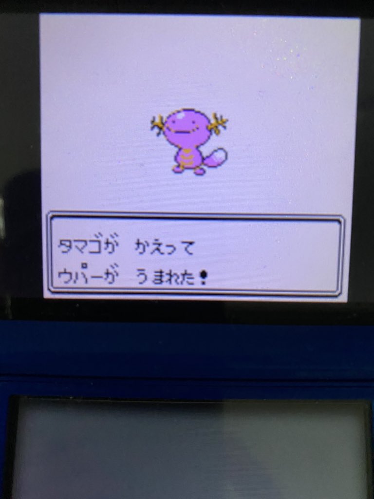 志貴 しき ポケモン用ex Vcクリスタルで色違いのウパーが産まれました 期待値よりも早めに来てくれました ほのおの からだ等の孵化歩数軽減特性のありがたみを感じましたね笑 志貴の色違い日記 Vc 色違いポケモン クリスタル