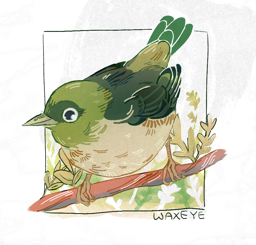 finch tweet media