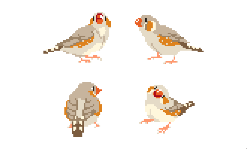 finch tweet media