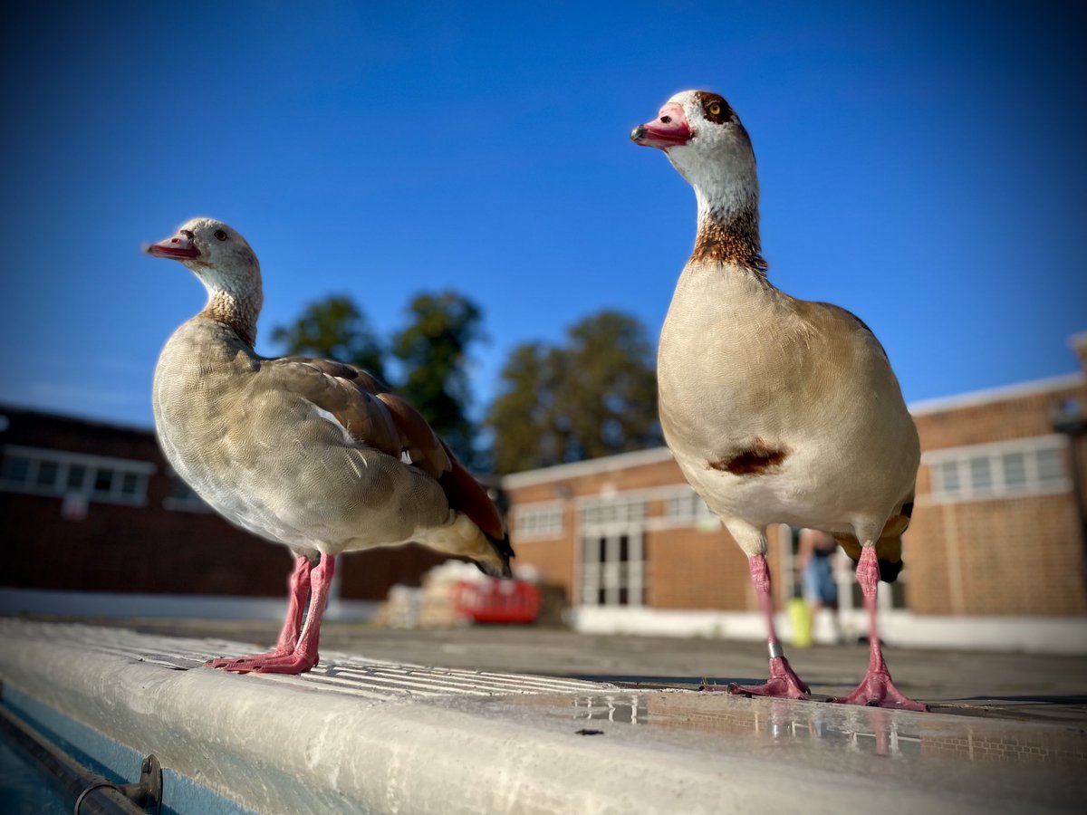 Well at least they didn’t have to book a swim and could actually get in today..