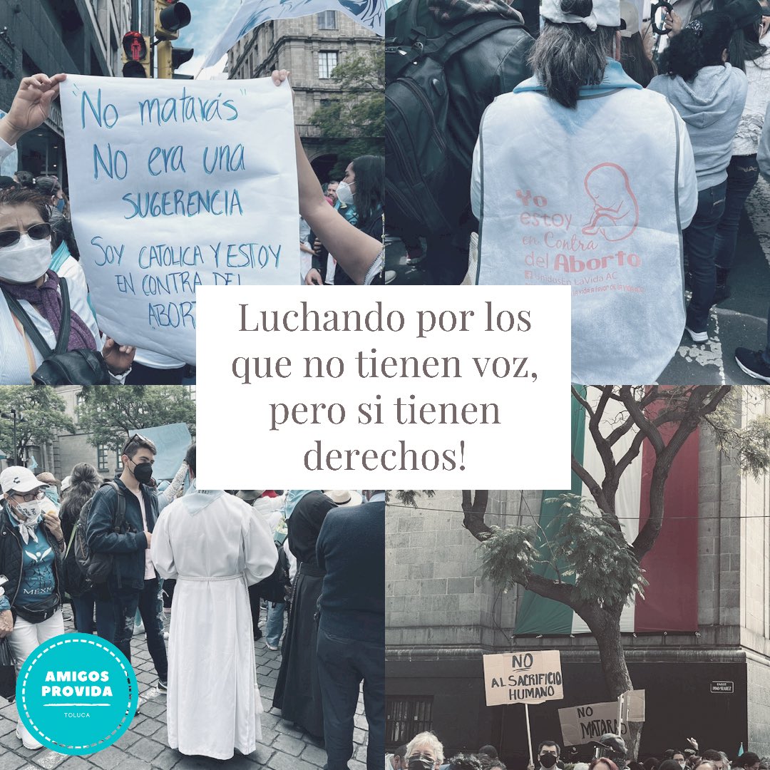 ProvidaToluca's tweet photo. Luchemos ⚔️💙 #al3porlavida

🔹
🔹
🔹
🔹

No se te olvide seguirnos en nuestras redes sociales 
🔵 Facebook- Amigos Provida
🟡 Instagram - @Amigosprovidatoluca
🟤 Twitter - @ProvidaToluca

#AmigosProvida #AmigosProvidaToluca #edomexprovida #provida #SalvemosLas2Vidas https://t.co/j3GviqFiMO
