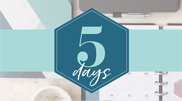 💟 5 DAYS! 💟

2020 ❌
2021 ❌
2022 ✅

Get your 2022 inserts and accessories on MONDAY, 9/27!