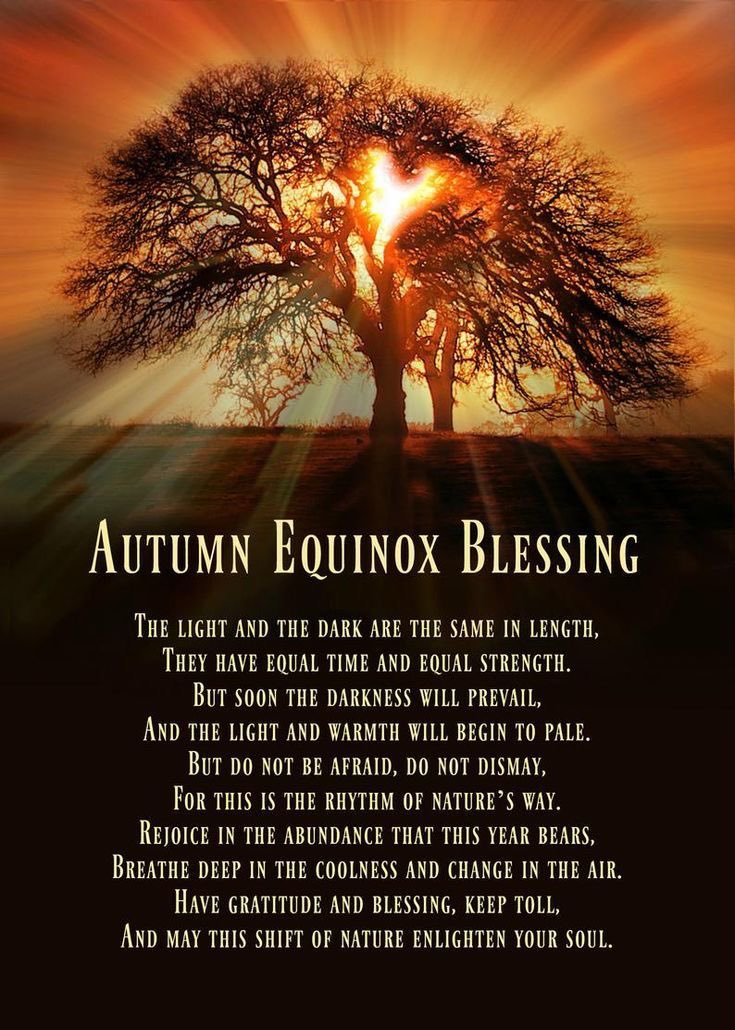 witchbakingmag1's tweet photo. Mabon blessings to all. Blessed Be 💜🪄🧙🏻‍♀️ https://t.co/82yQOLG2kK