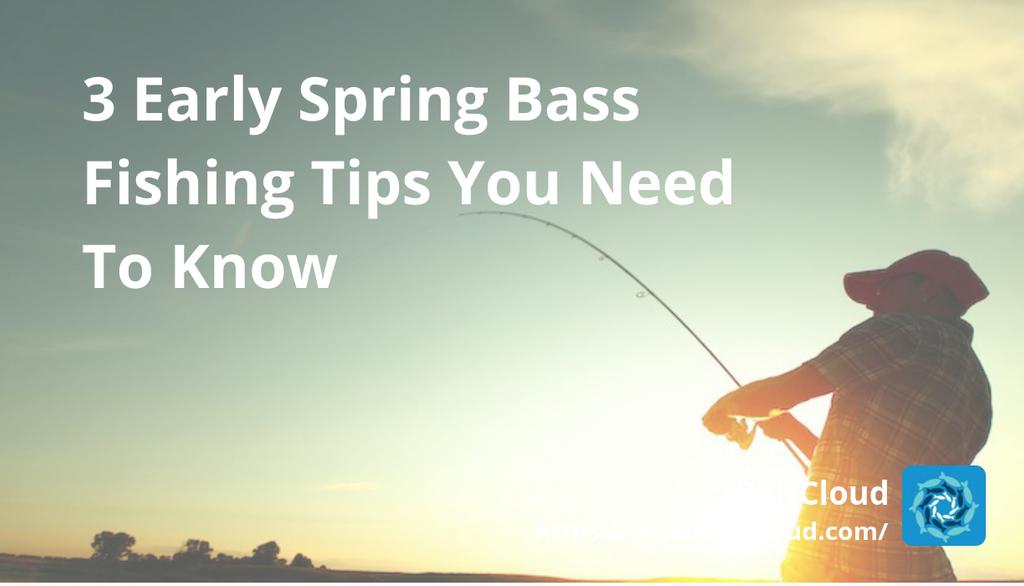 BaitCloud Fishing Corporation tweet media