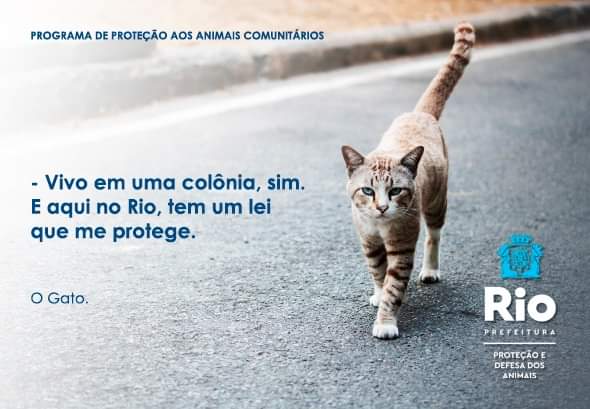 Defesa e proteção dos animais