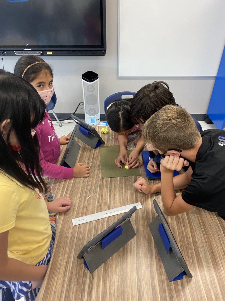 Stacey Mrazek tweet media