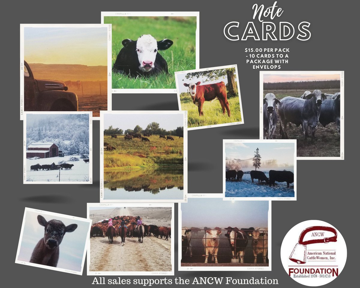AmericanCW's tweet photo. Check out these awesome cattle note cards from the ANCW Foundation. ANCW Foundation note cards can be purchased on our website.
https://t.co/4LkudSoPCW
#beef4generations
#cattle https://t.co/tdSMzAv5f6