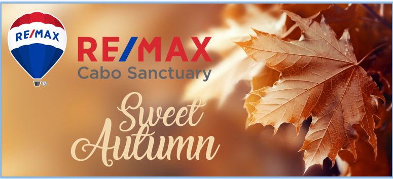 RemaxCaboRE's tweet photo. On the occasion of Autumnal Equinox, We wish a beautiful start to the first day of fall. Enjoy this season with high spirits and great goodness. Happy Autumnal Equinox!! 🍂🍁🥂
 
#WeAreREMAX #AutumnVibes https://t.co/xT8uqG5kqH