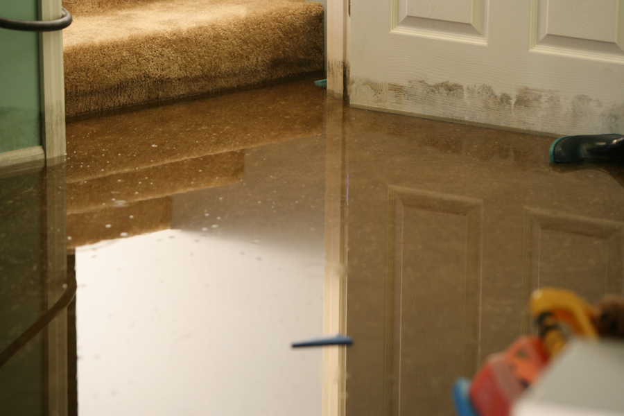 If your home has water damage from flooding, a leaking pipe, or other source, you need the company that can respond immediately and has the expertise and equipment to properly restore your property.