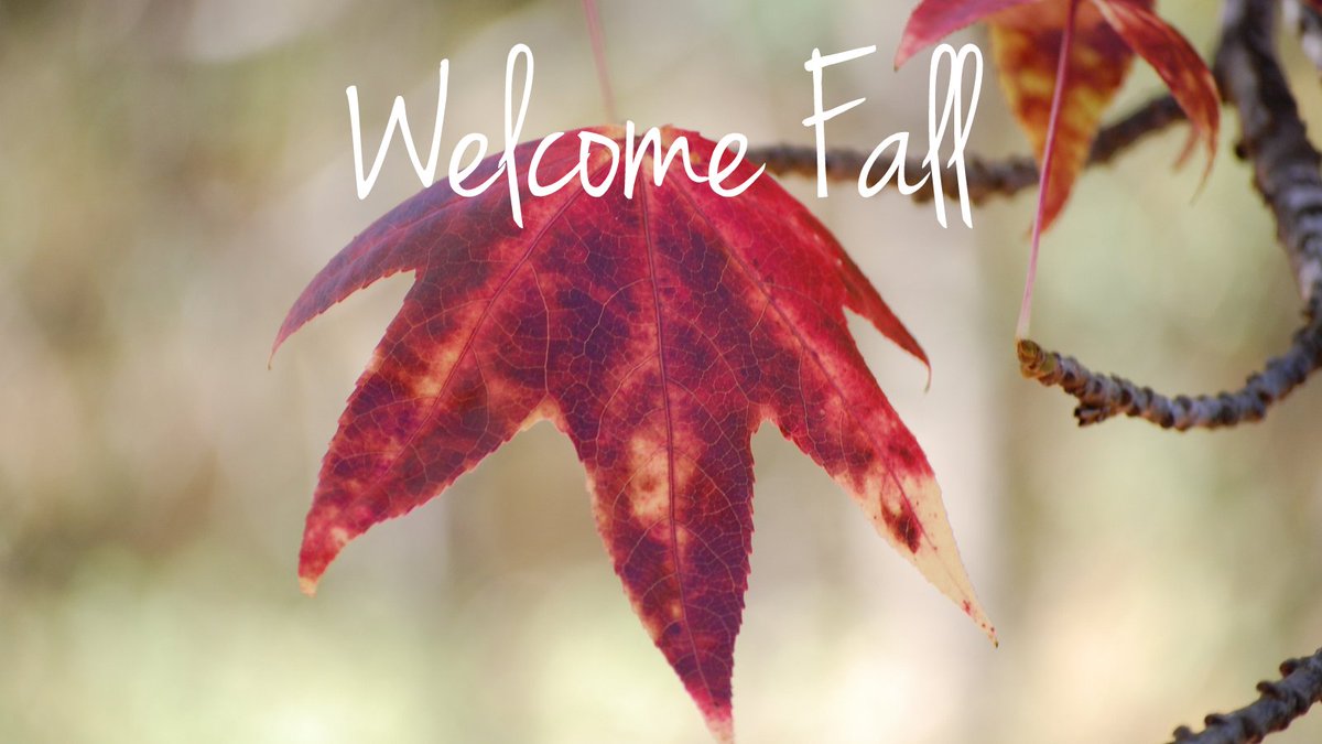 🍂 Happy First Day of Fall! As the weather starts to cool and leaves begin to turn, join us outdoors this fall at beautiful Babler State Park for family fun while making memories that last. Learn more &amp; register today: bit.ly/3nSmYvE