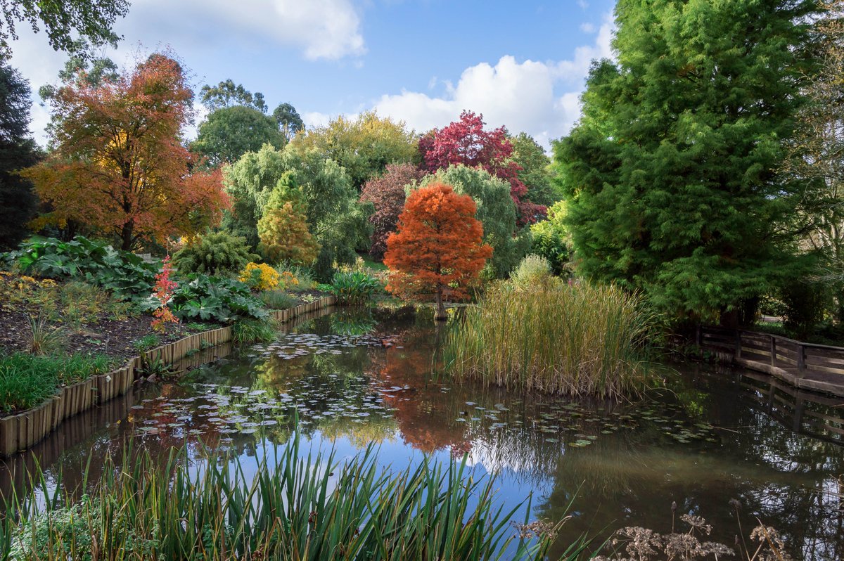 Today is the #AutumnEquinox 🍂 Where is your favourite place to visit in Hampshire in the autumn?🧡 

Maybe you'll discover something new this year... 

👉visit-hampshire.co.uk/ideas-and-insp…

<a href="/VisitEngland/">VisitEngland</a> #EscapeTheEveryday #VisitHampshire