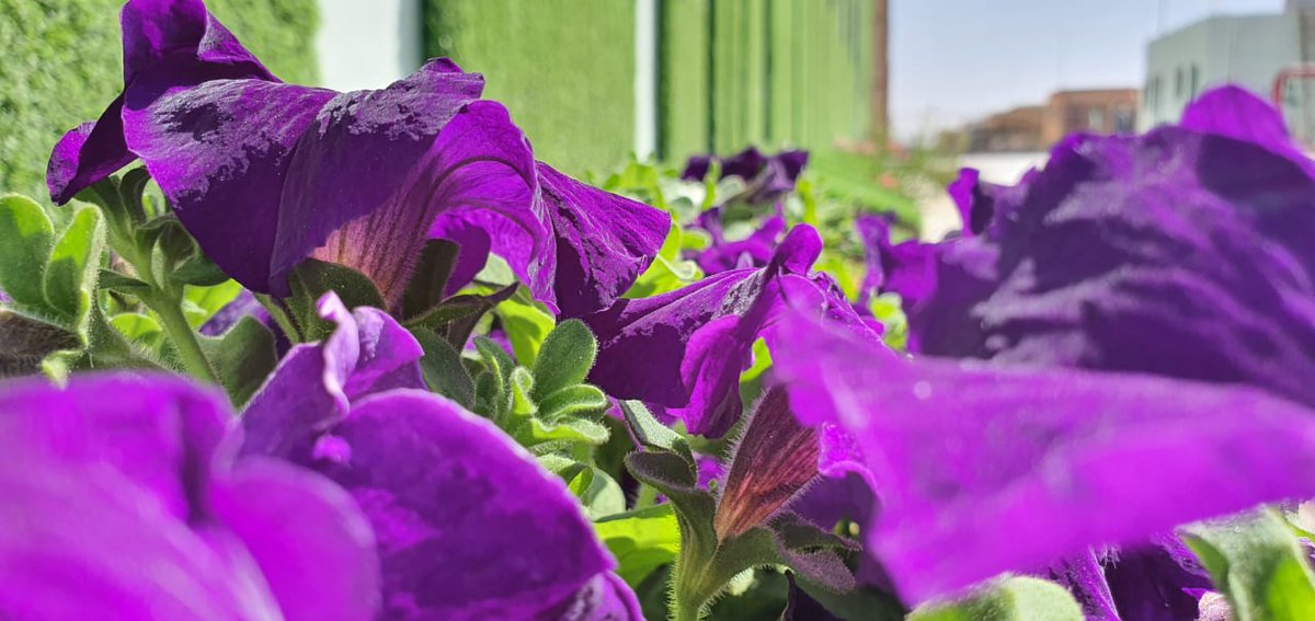 GMC_Grass's tweet image. Our new face! Our new fashion! #GMC_Grass, is your new Icon.

Stay Tuned!

#Artificial_Grass
#artificialgrass
#landscapinglife
#design
#art