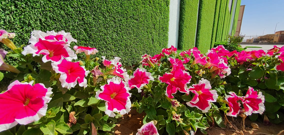 GMC_Grass's tweet image. Our new face! Our new fashion! #GMC_Grass, is your new Icon.

Stay Tuned!

#Artificial_Grass
#artificialgrass
#landscapinglife
#design
#art