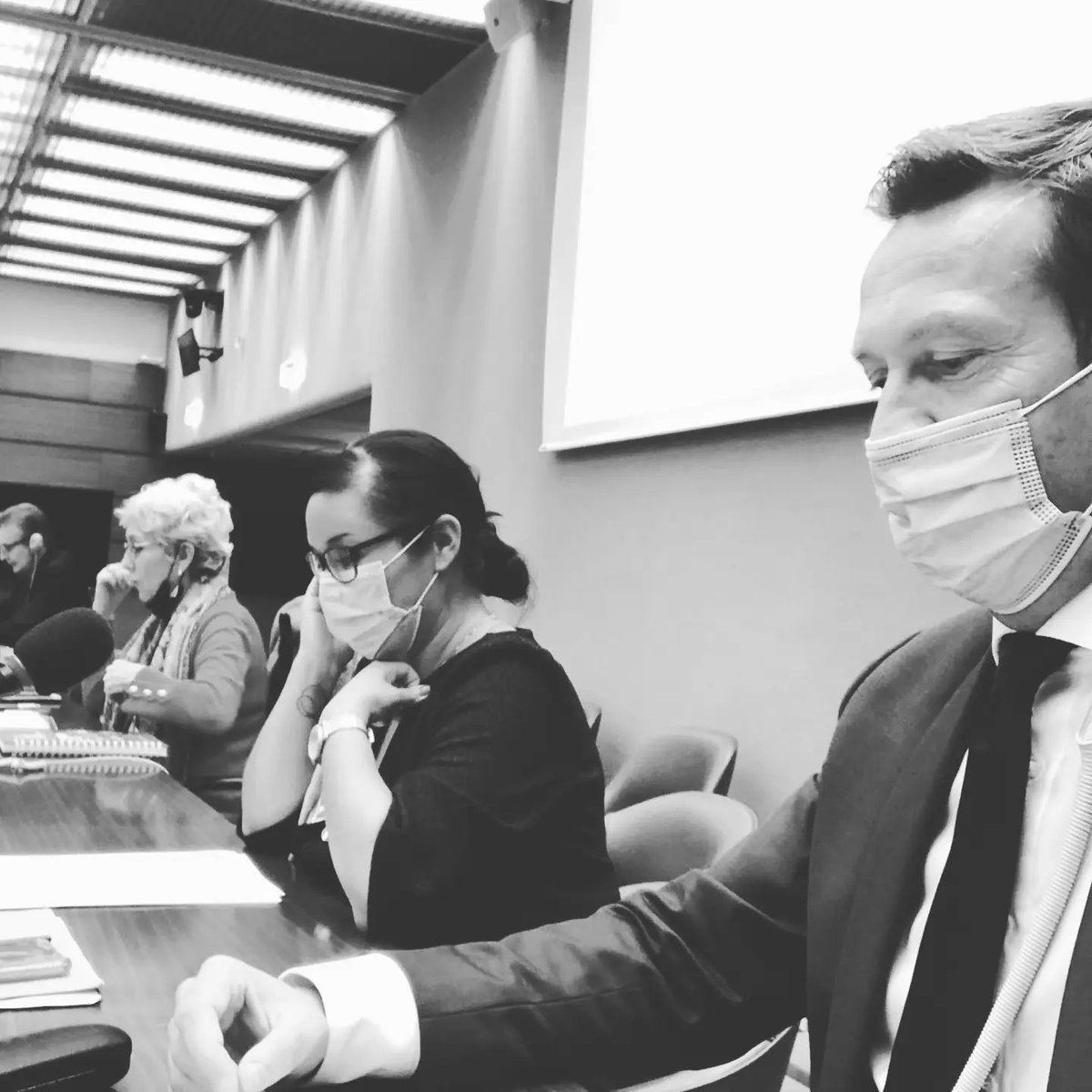 Racines Perdues - Raíces Perdidas tweet media