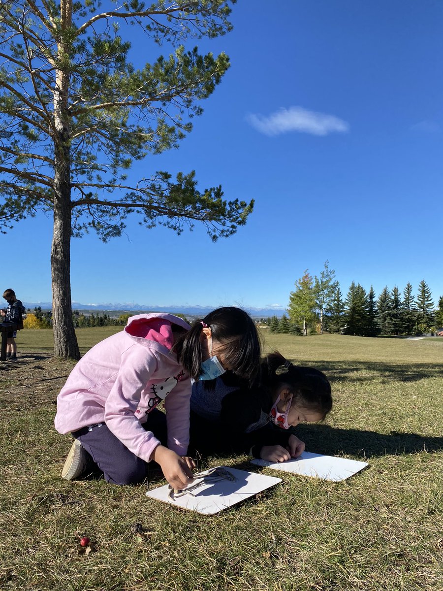 KaraMedlicott's tweet photo. As part of our calls to action students are coming to know the land in our community. We are learning to share our gratitude for the gifts we receive from Na’a. @Indigenous_cbe @EdgemontCBE #Edgemontstory https://t.co/Nq4vZZxEzw
