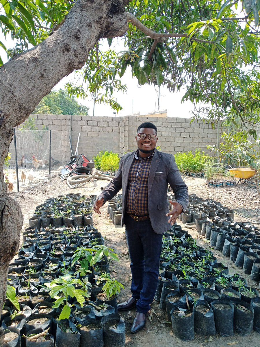 “Time spent among trees is never time wasted.” green investments Ovacado project. Am youth' taking the lead. <a href="/theGCF/">Green Climate Fund</a> <a href="/theGEF/">Global Environment Facility (GEF)</a> <a href="/wwfzambia/">WWF Zambia</a> <a href="/ActionAidZambia/">ActionAid Zambia</a> <a href="/OxfamInZam/">Oxfam In Zambia</a> <a href="/usembassyzambia/">U.S. Embassy Zambia</a> <a href="/GermanyinZambia/">German Embassy ZAM</a> <a href="/SwedeninZM/">Sweden in Zambia 🇸🇪</a> <a href="/Nachilala/">Nachilala Nkombo</a> <a href="/MukelabaiIsabel/">Isabel Mukelabai</a>