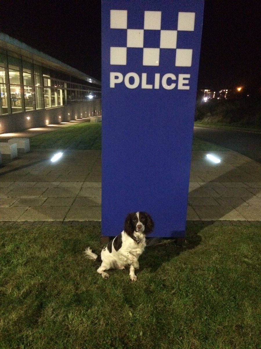 PSOSMoray's tweet photo. Be careful of false claims if you have lost your pet πΆπ±
NEVER hand over money or bank details and contact Police on 101/website if you are suspicious.
See our Facebook page for more details.
https://t.co/ibjrVeHdmu
#KeepingDogsSafe
#KeepingPeopleSafe
#PDHamish https://t.co/F4AKmTX2Yq