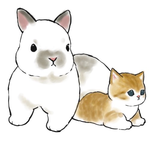 「うさぎに挟まれる
ちっちゃいにゃんこ。 」|ぢゅの🐈のイラスト