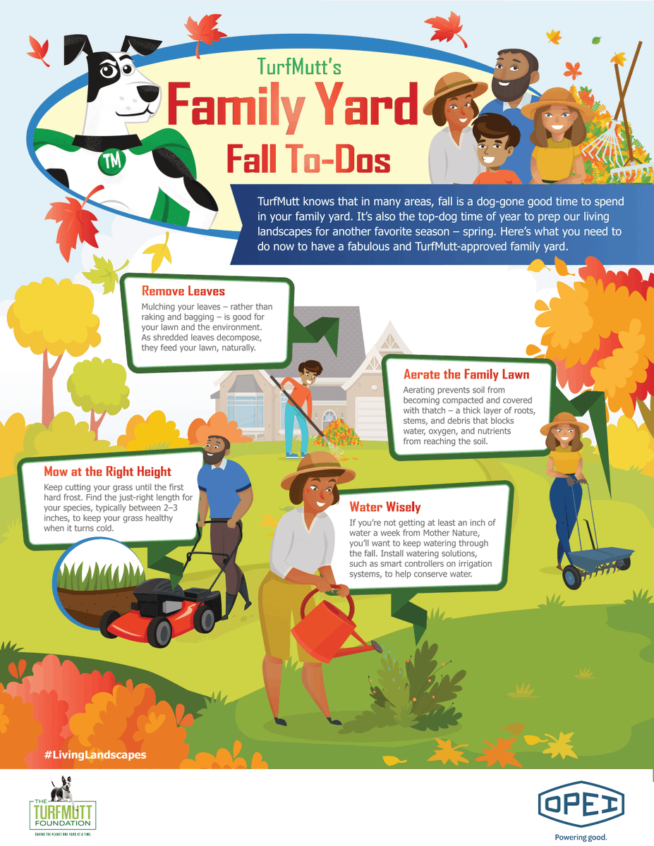 TurfMutt's tweet photo. Fall starts today and it's time to check off that to-do list! Remember to mow at the right height, remove leaves, aerate the family lawn and water wisely. See our #infographic for tips. #Backyarding #FallYard #Lawncare https://t.co/h6gtPZzFm2