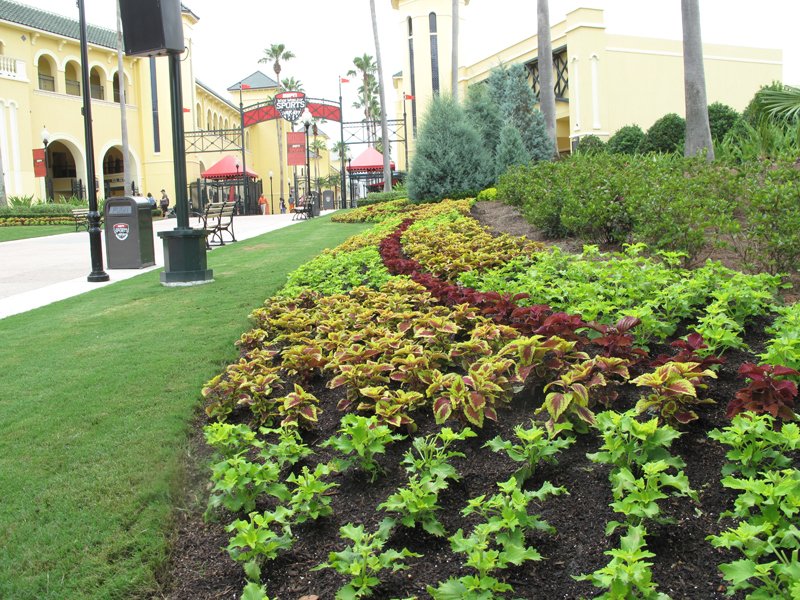 LifeSoils tweet media