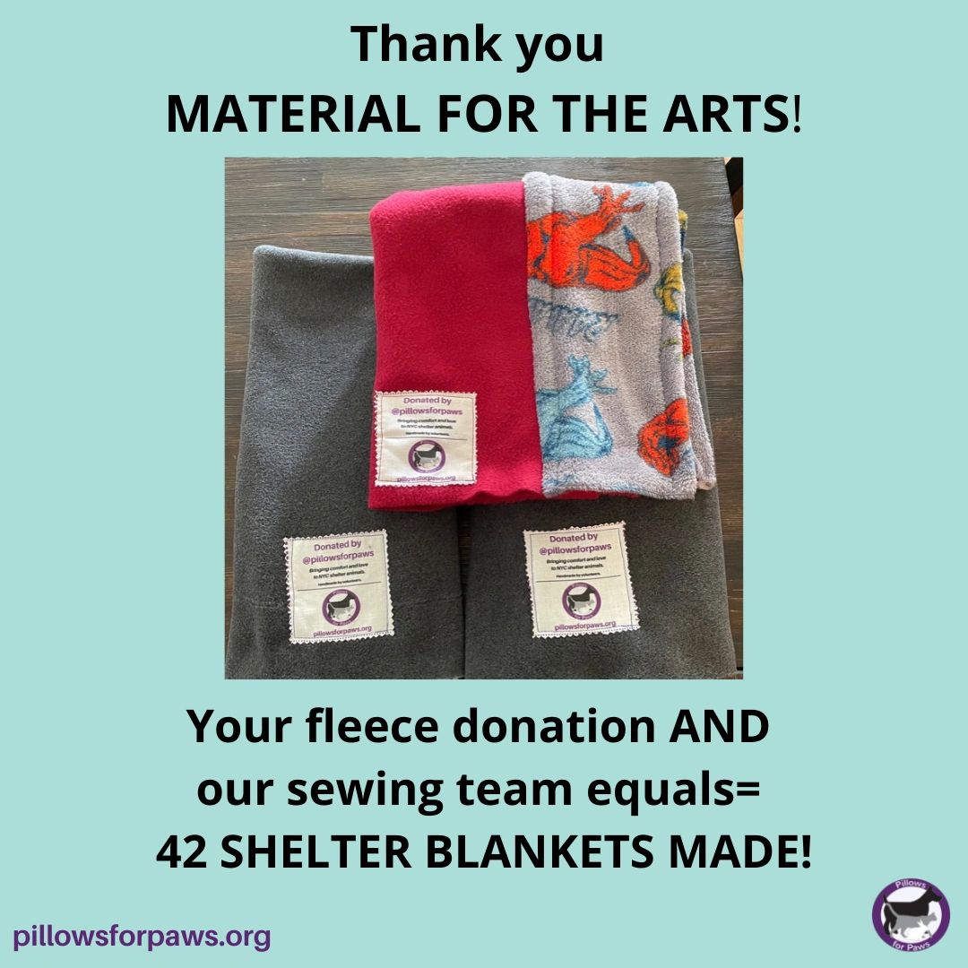 Pillows for Paws tweet media