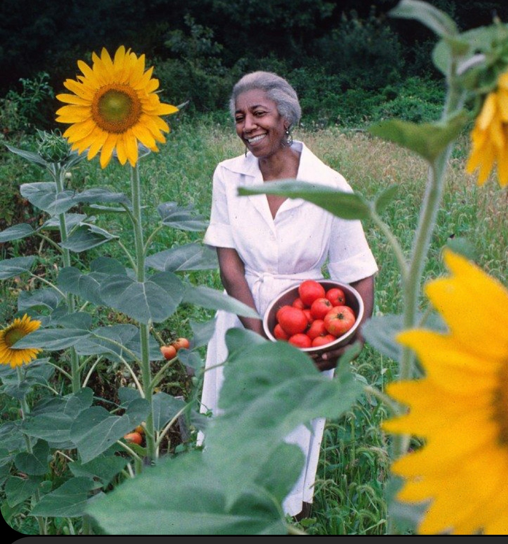 greenhousefound's tweet photo. Gardening is a skill that’s very uncommon to find. It is very beneficial for our kids to learn. Growing plants gives them a sense of responsibility and at the same time, a stress reliever. Choose a green way to live today.

#begreen #teachgreen #seegreen 💚
#JoinTheGreen https://t.co/A1YwL4JDCD