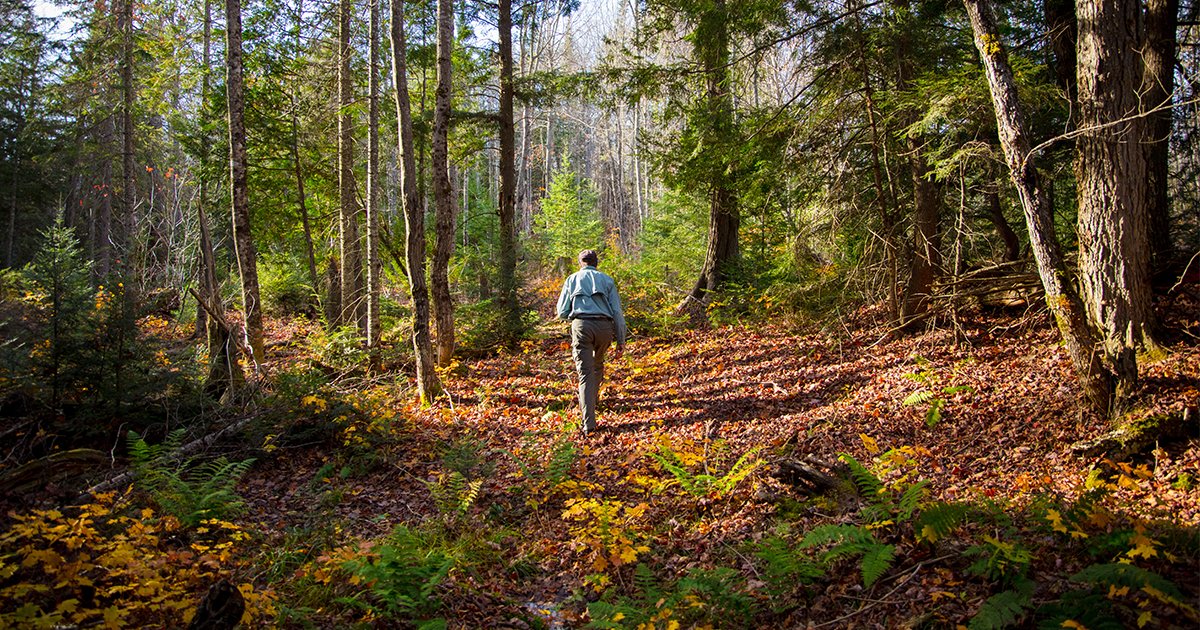 TNCMichigan's tweet photo. πΈ Β© Kim Steinberger/TNCFall in love with Michigan. π Head to your favorite trail to celebrate the #FirstDayOfFall AND #MichiganTrailsWeek.
Find a trail near you: https://t.co/D1oThvOfKr
In case your sky is rainy: https://t.co/xFPraiD4p5
π· Β© Dietrich Ludwig https://t.co/521o11I6hT