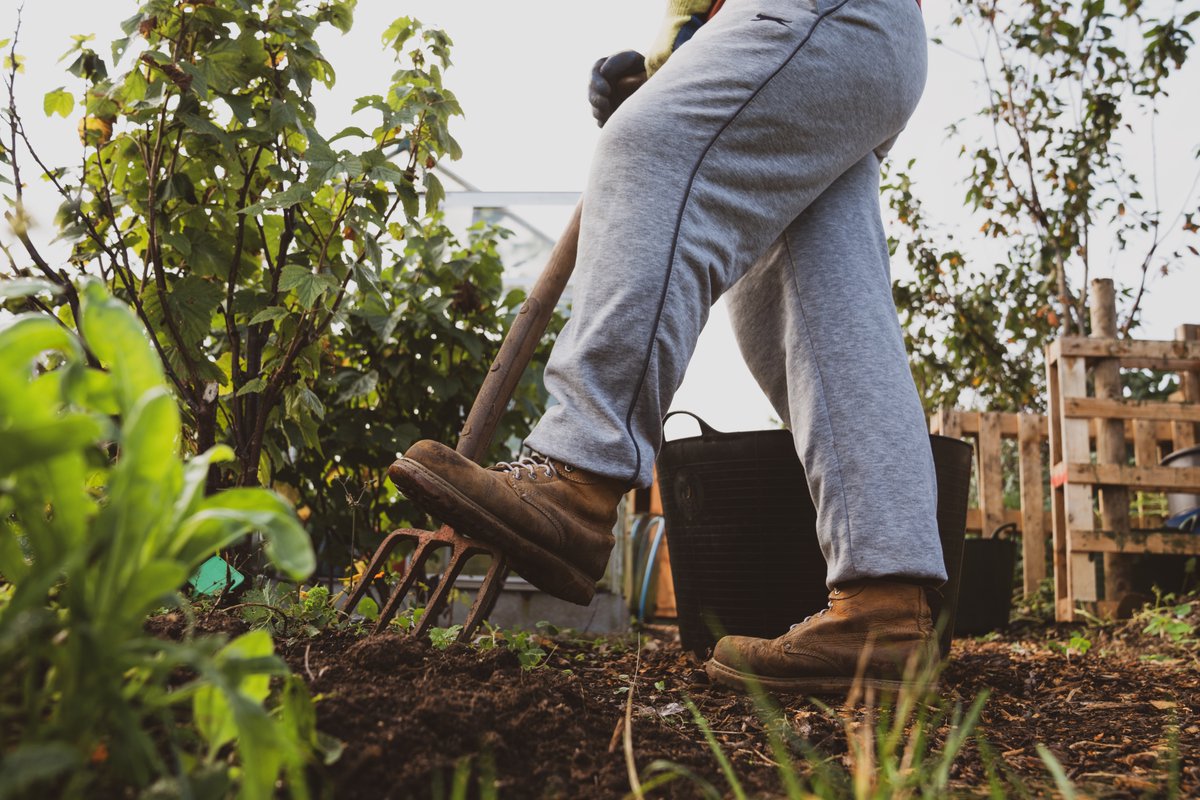 MaynCreative's tweet image. Photos from last week's Get Growing Allotments event with @weareCN4C!

📸: Charlie Raymond Kent