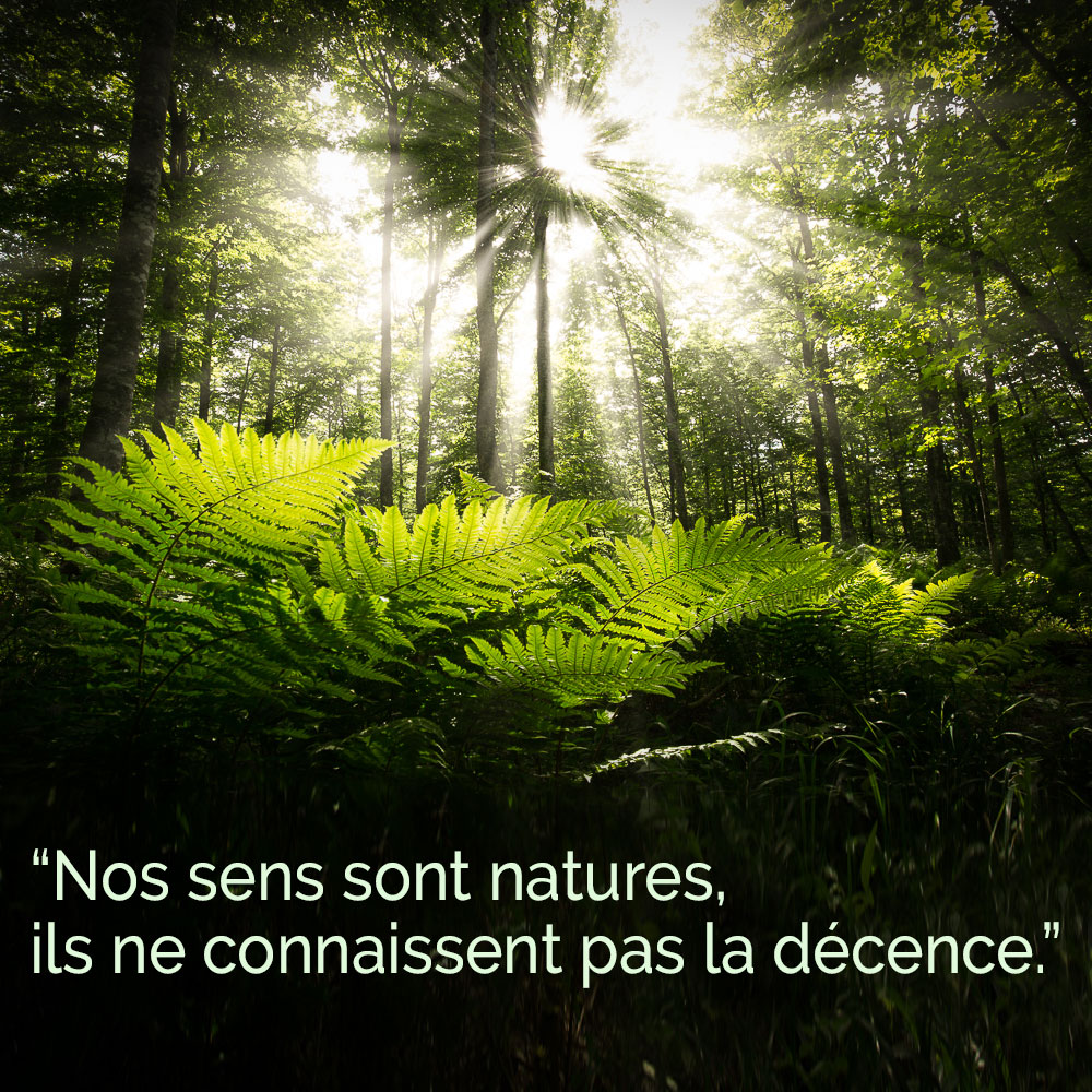 IndecenceDsens's tweet photo. Les sens sont natures, ils ne connaissent pas la décence.
https://t.co/lWq56XNJm1 https://t.co/qE9LmuDIZs