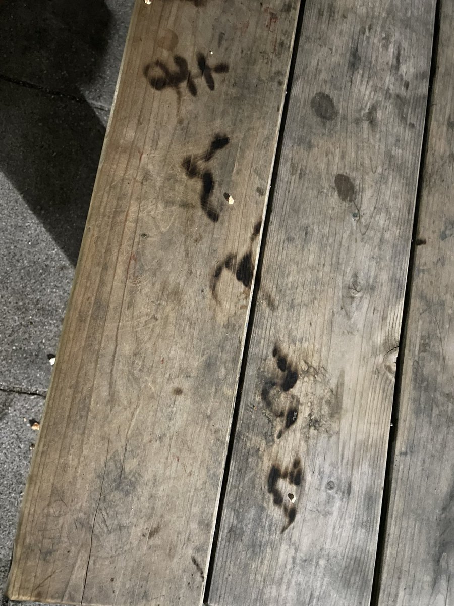 お疲れ様です！
9/24にメッケモン出ます！
是非是非来てください🥺🥺
道頓堀ZAZA HOUSEにて、
チケット500円です🎫🎫

近所の公園で、ベンチに座りながらマントヒヒに召された方いるかもしれないです🥲
#なぜ平仮名
#なんの話してたんやろ