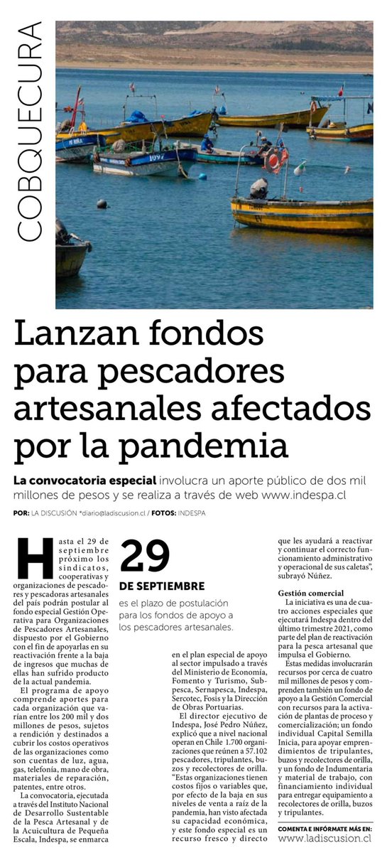 🟡[PRENSA🗞️] Hasta el 29 de septiembre las organizaciones de pescadores/as artesanales podrán optar al fondo especial de <a href="/GobiernodeChile/">Gobierno de Chile</a> informa diario <a href="/ladiscusioncl/">La Discusión</a> 🚀🙌🏾🐟🇨🇱
💡Postulaciones 👉🏾 indespa.cl 
#ConLaPescaArtesanal
<a href="/meconomia/">Ministerio de Economía, Fomento y Turismo</a> 
<a href="/SubpescaCL/">Subpesca 🐟🇨🇱</a> 
<a href="/sernapesca/">Servicio Nacional de Pesca y Acuicultura 🇨🇱</a>