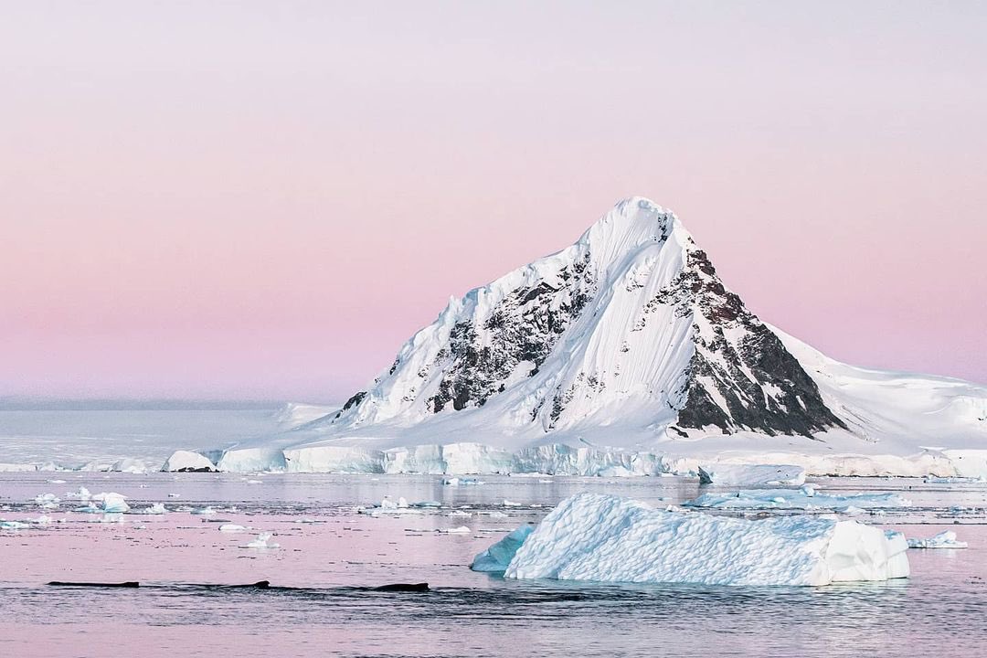 iaato_org's tweet photo. Have you taken our #PolarGuideWeek responsible visitor quiz yet? Click https://t.co/auLluWZUSo & see how much you know about travelling to Antarctica responsibly 🇦🇶 https://t.co/kxnIR2bHfk
