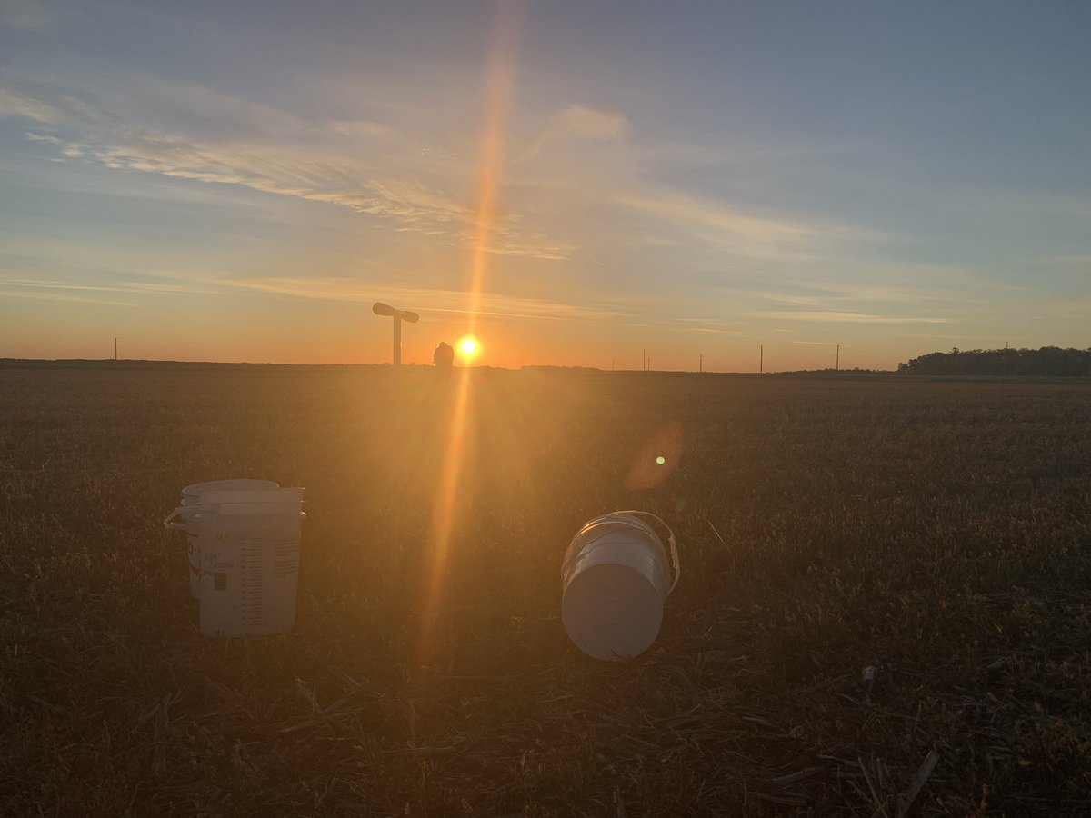 OFNagronomist's tweet photo. A little sunrise soil sampling for the On-Farm Network team this morning, before heading to another #drybean trial harvest this afternoon https://t.co/heYEvq29KR
