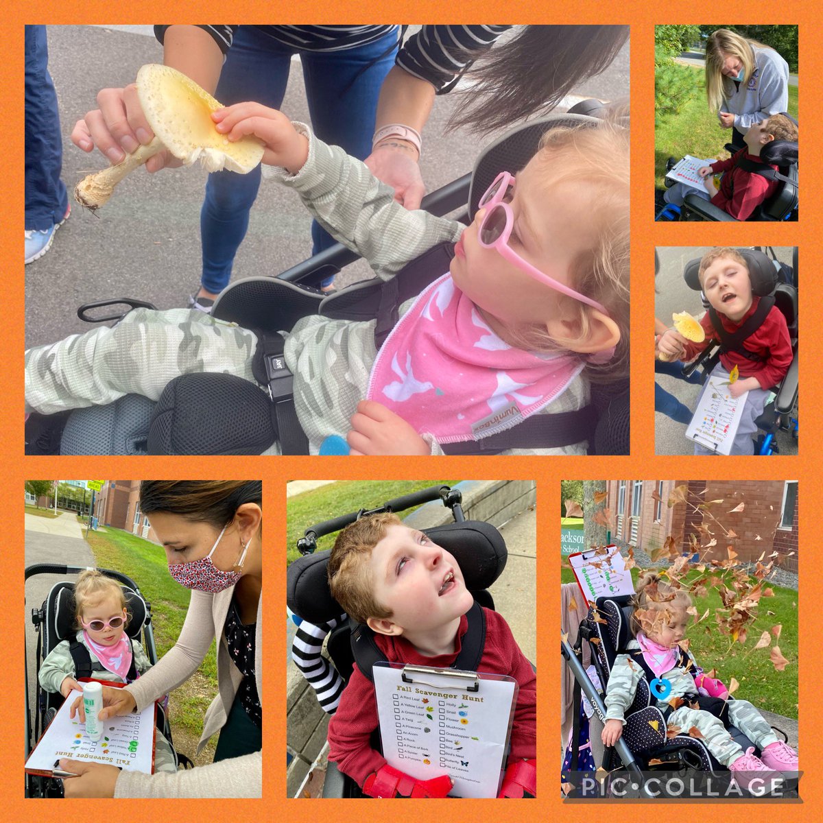 pdlpmansfield's tweet photo. #findingfall #naturewalk @BiCollaborative @MsMichellePDLP https://t.co/xdUJC5Wr3e