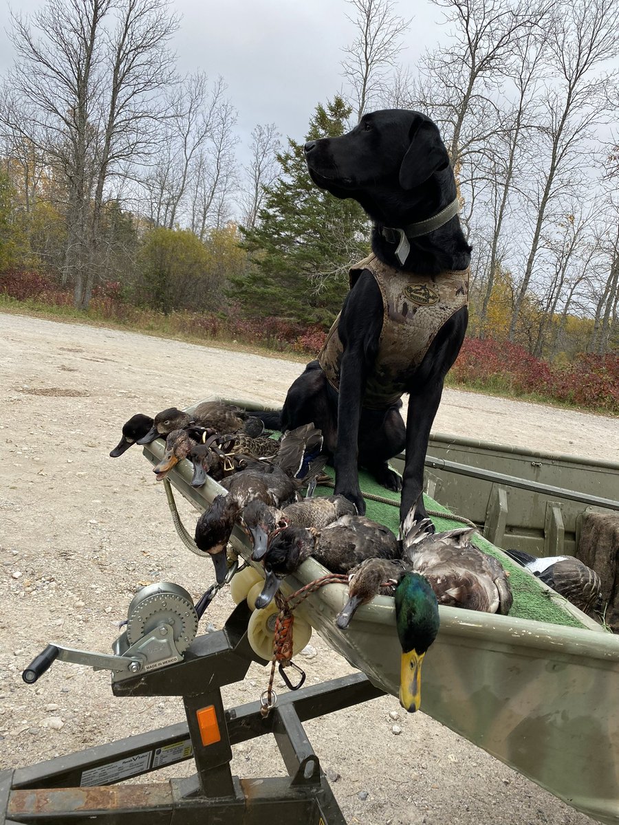 Matt_Dale58's tweet photo. Year 5 with my boy, big things coming🦆👀 https://t.co/qVnQFikSii