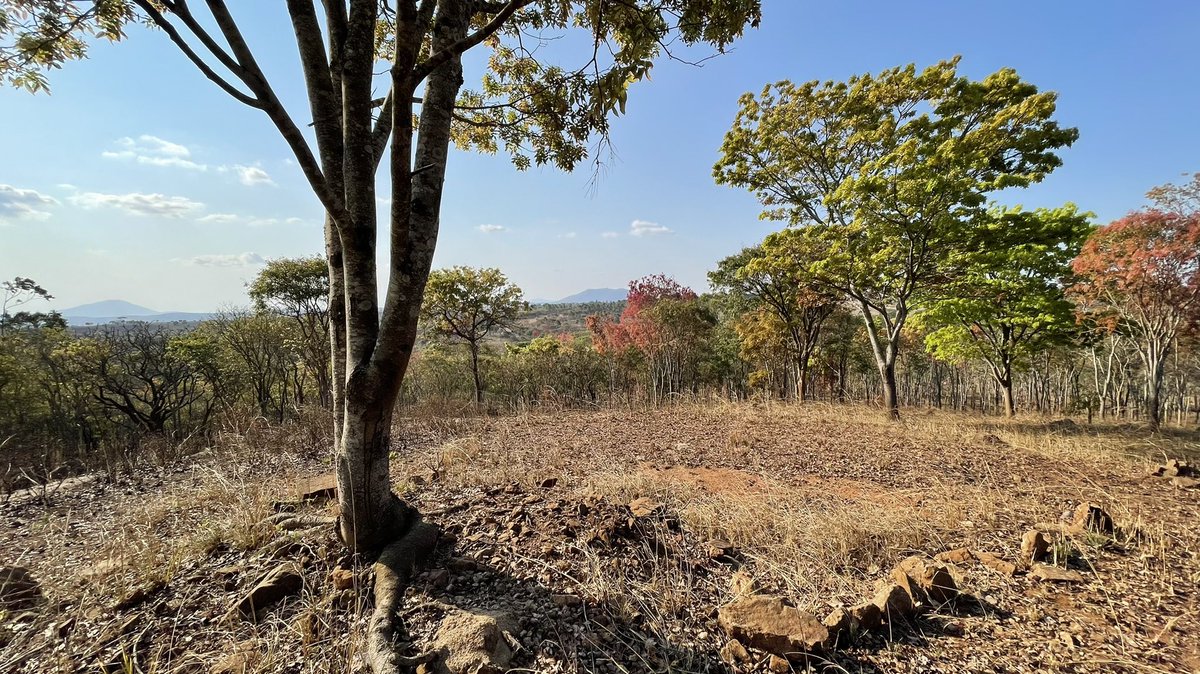 Amazing views from Phiri Langa a view point in the middle of Chimwenya Game Park. #gamehavenlodge #magicalmalawi #viewsfordays #noplacelikeit #goldenhour