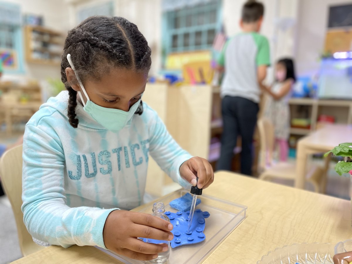 TheTECSchools's tweet image. Morning #workcycle is a time to #focus and #explore the prepared #environment. Students choose materials to learn new #skills. This #uninterrupted time gives them the opportunity to enjoy the work they love! #Flow #Worcester #TECSchools #Montessori #MASchools #GreatSchool #Work