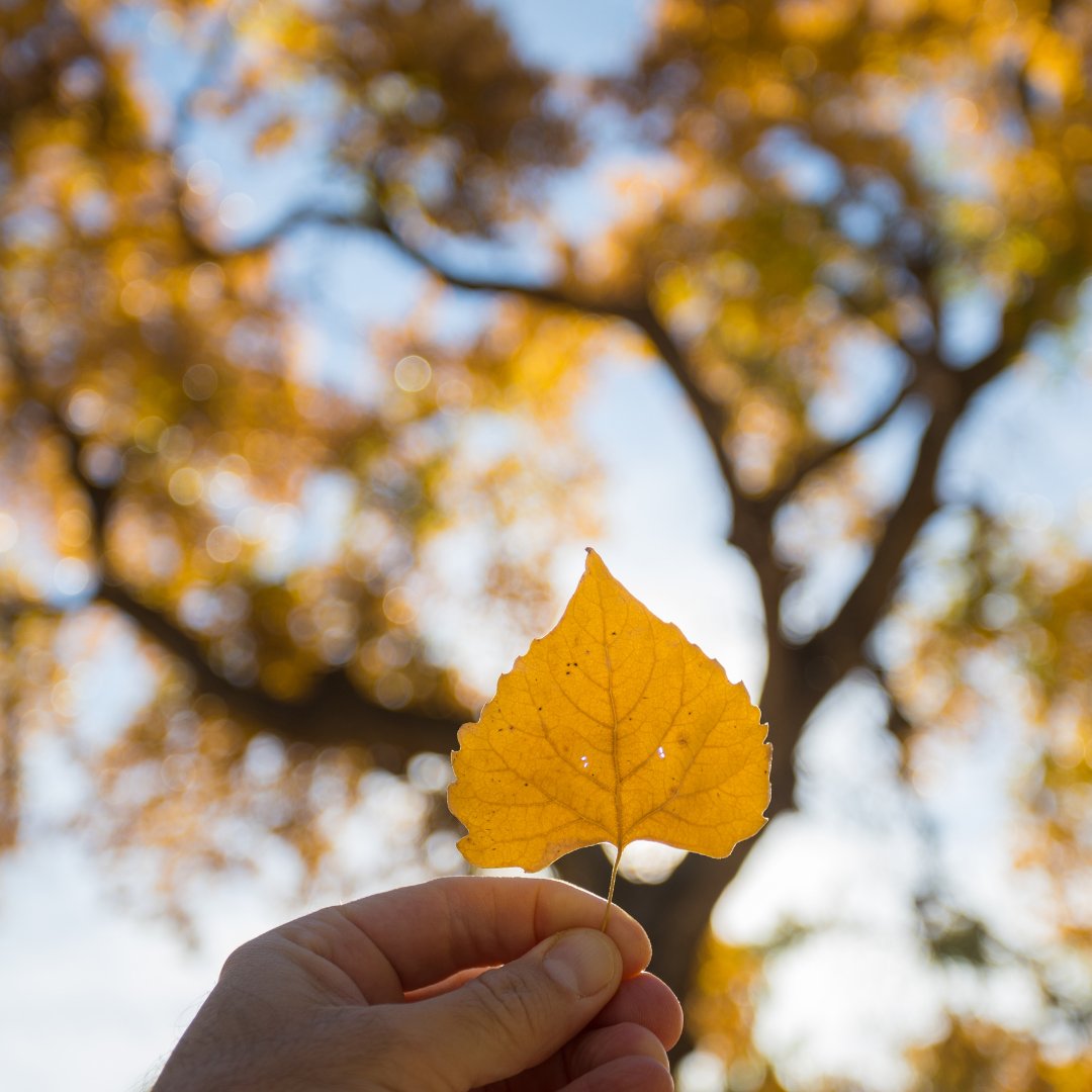 Hello, Autumn 🍁🧣☕