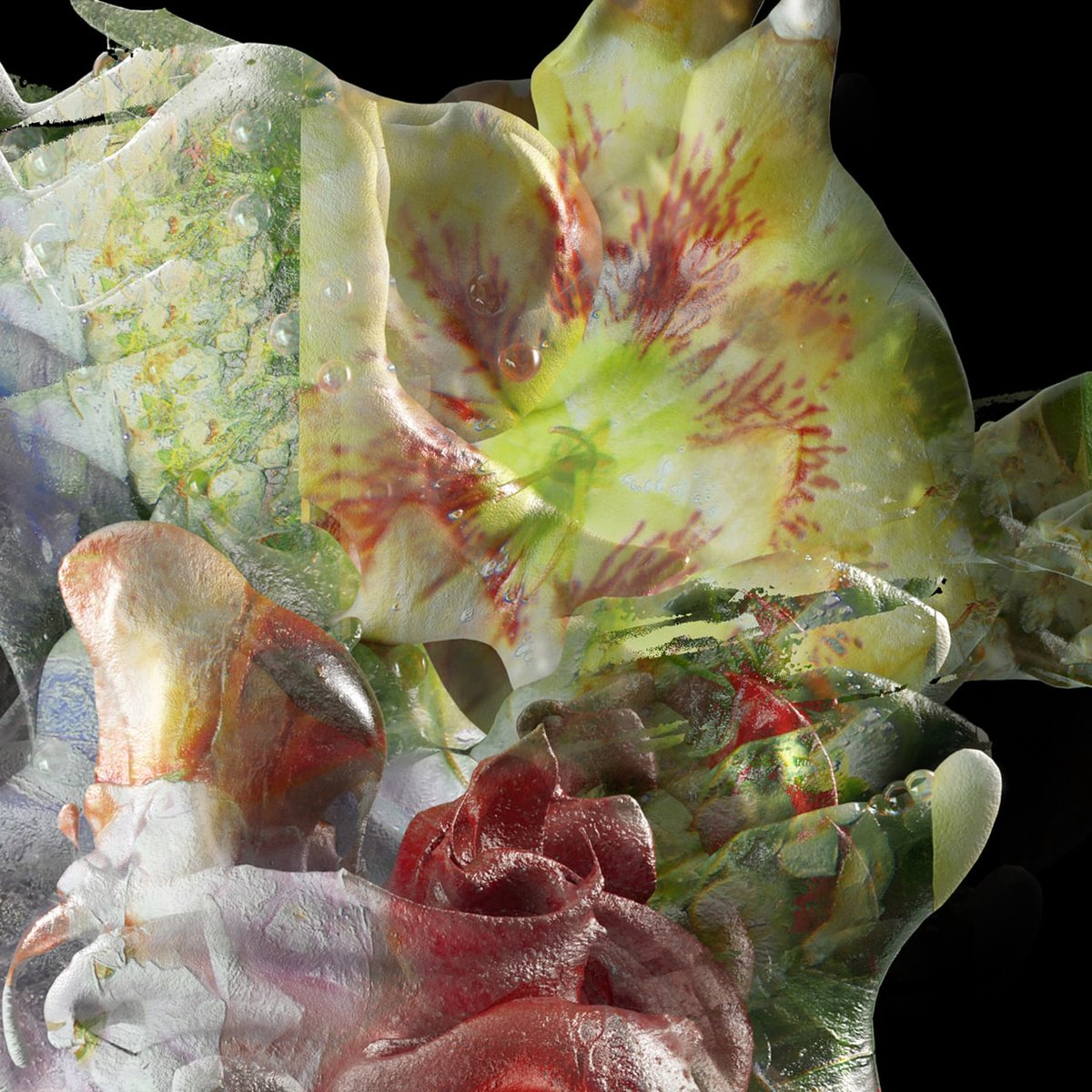 daria_antypenko's tweet photo. Number 5 for Flower Blocks Pollination @Flowerblocks 🌸 https://t.co/ni9XIm24hc
