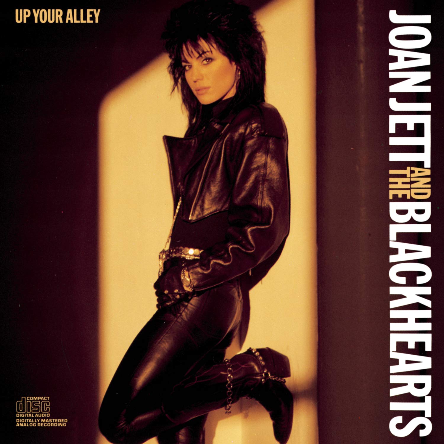 Happy Birthday to Joan Jett (September 22, 1958) 