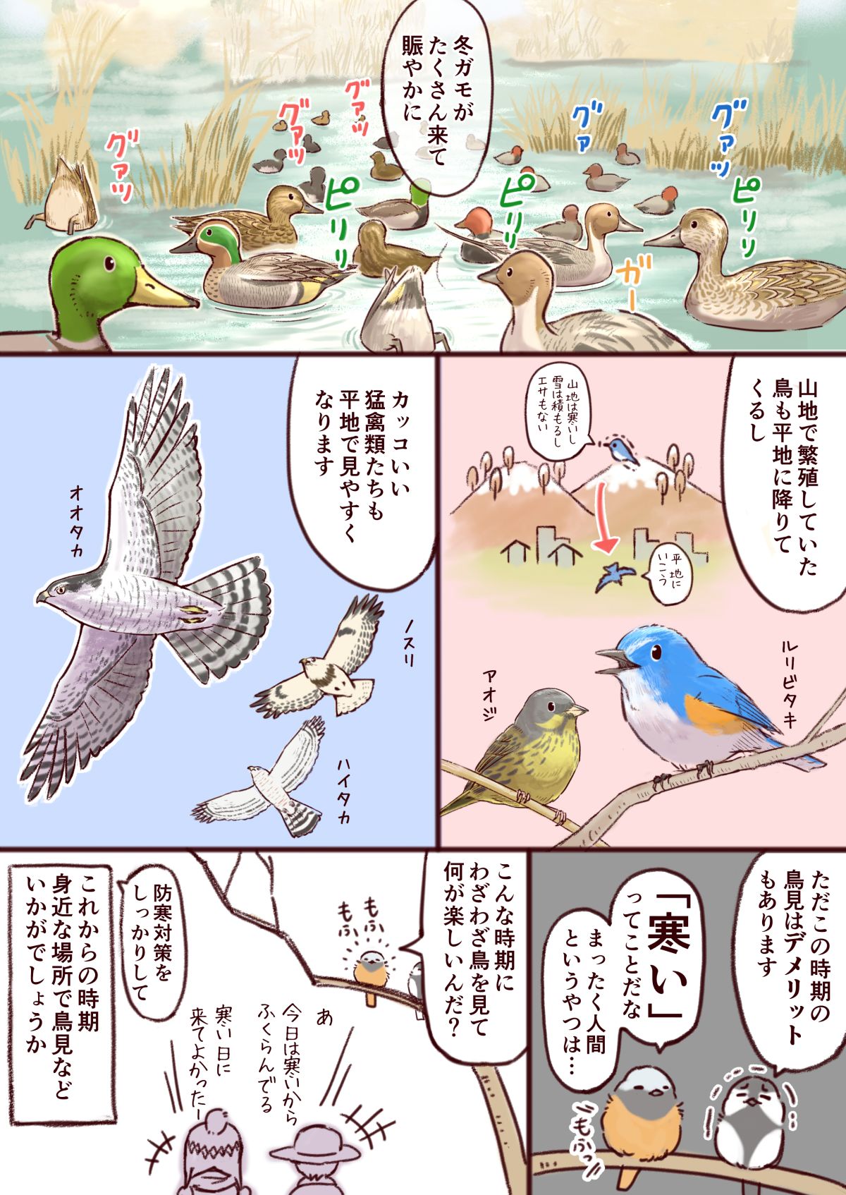 Follow 一日一種 S Wildlife Daily Latest Tweets Twitter