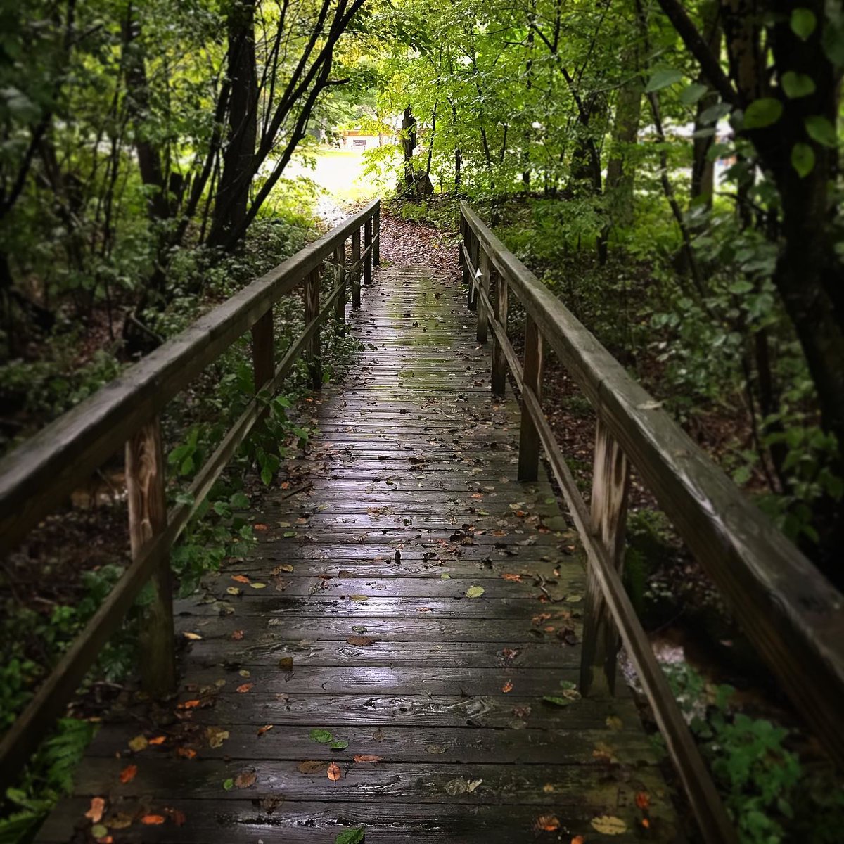 Inspiration on every path at Touchstone Center for Crafts 🏞 @touchstonecraft 

📷: andrewtthornton100 on Instagram